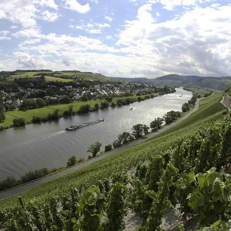 Weingut Fehres Lägenhet Brauneberg Exteriör bild
