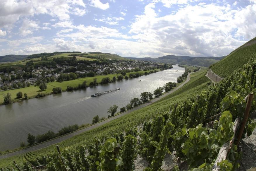 Weingut Fehres Lägenhet Brauneberg Exteriör bild